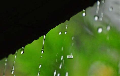 夢見下雨|夢見雨/夢到雨